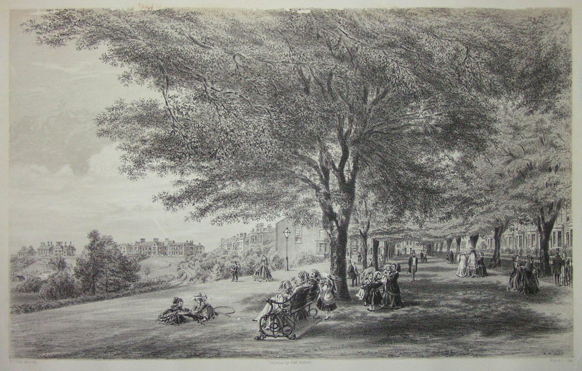 Lithograph - (Avenham Walks, Preston) - Cuff